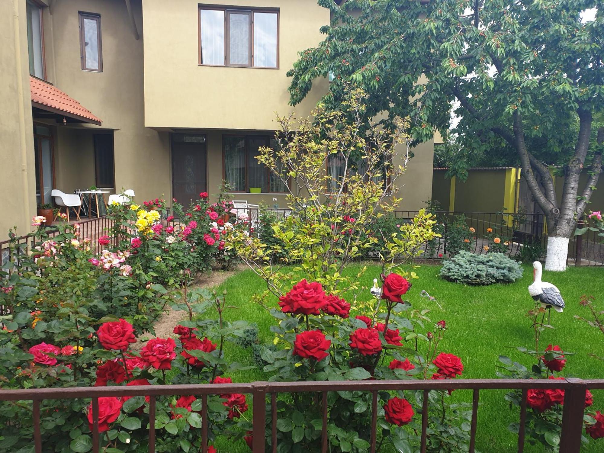 Villa Mugur Două Mai 외부 사진
