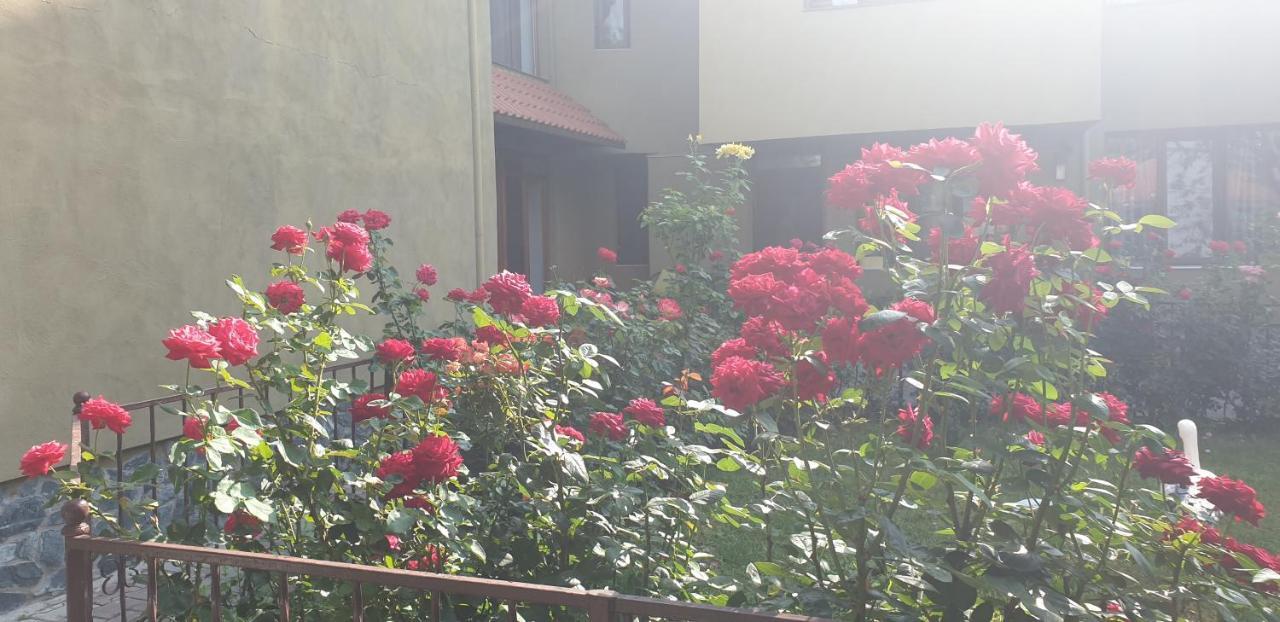 Villa Mugur Două Mai 외부 사진