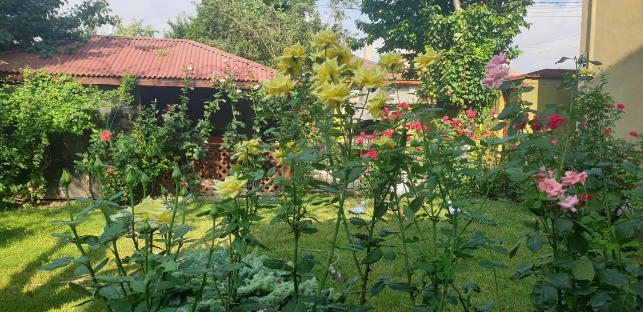 Villa Mugur Două Mai 외부 사진