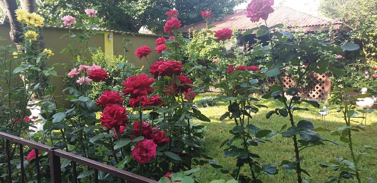 Villa Mugur Două Mai 외부 사진